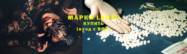 прущие крисы Магадан