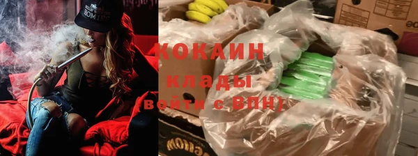 стафф Армянск